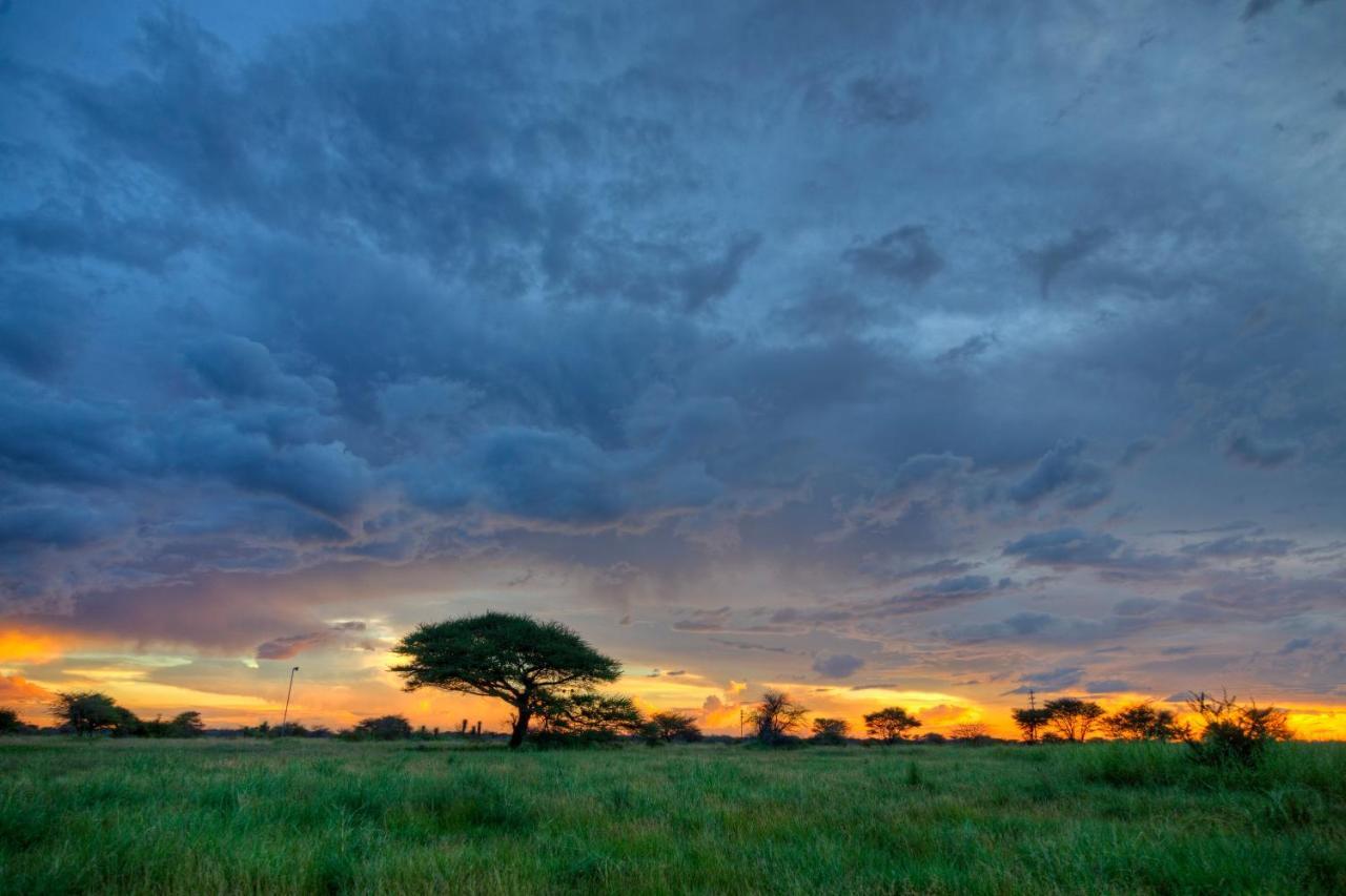 Khoi-Khoi Guesthouse Otavi Kültér fotó