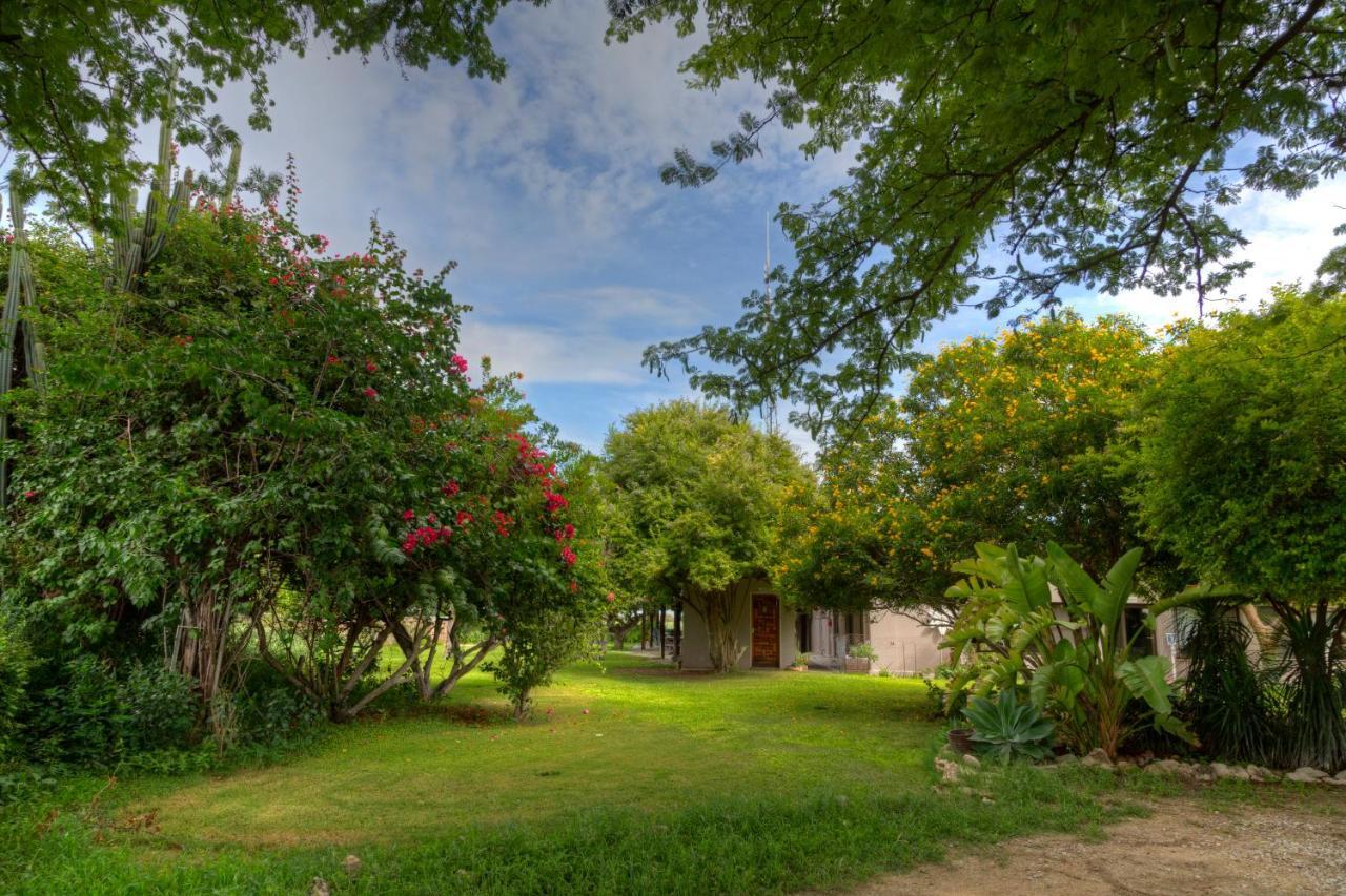 Khoi-Khoi Guesthouse Otavi Kültér fotó